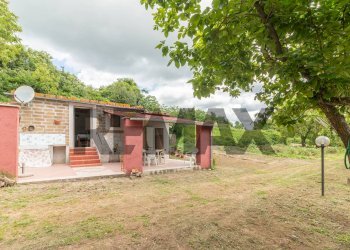 Casa all\'aperto - Terreno agricolo Località Pan Del Duca
snc, Ischia di Castro - foto 31