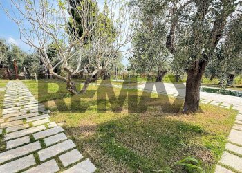 Giardino - Two-room apartment Località Pilone del Monaco
 
SNC, Vieste - photo 35