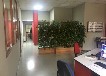 corridoio - Office Corso Orbassano
 
336, Torino - photo 6