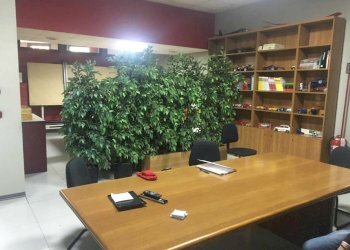 sala riunioni 1 - Office Corso Orbassano
 
336, Torino - photo 7