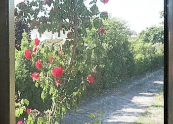 Foto 14 - Villa via Casagrande
 
57, San Quirino - photo 14