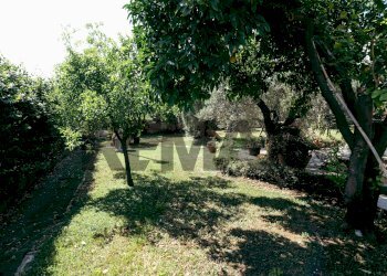 Giardino - Villa Via dei Fienili
 
29, Velletri - photo 26