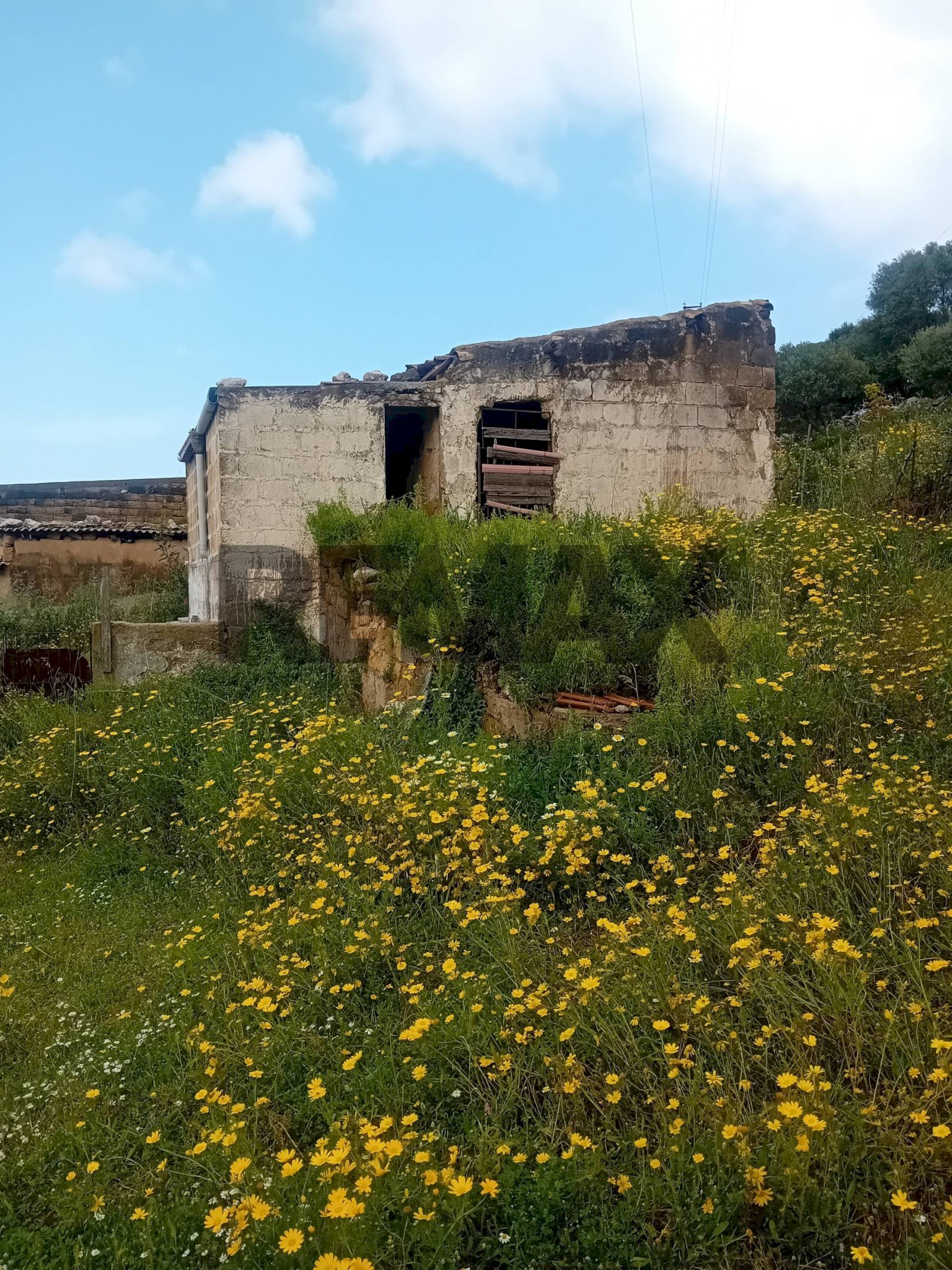 Casa all\'aperto - Rustic Paternella
 
4, Terrasini - photo 1
