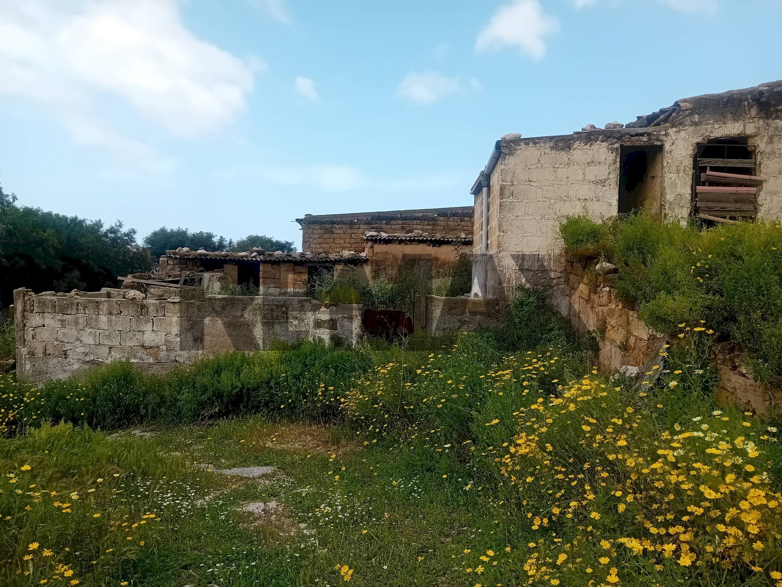 Giardino - Rustic Paternella
4, Terrasini - photo 2
