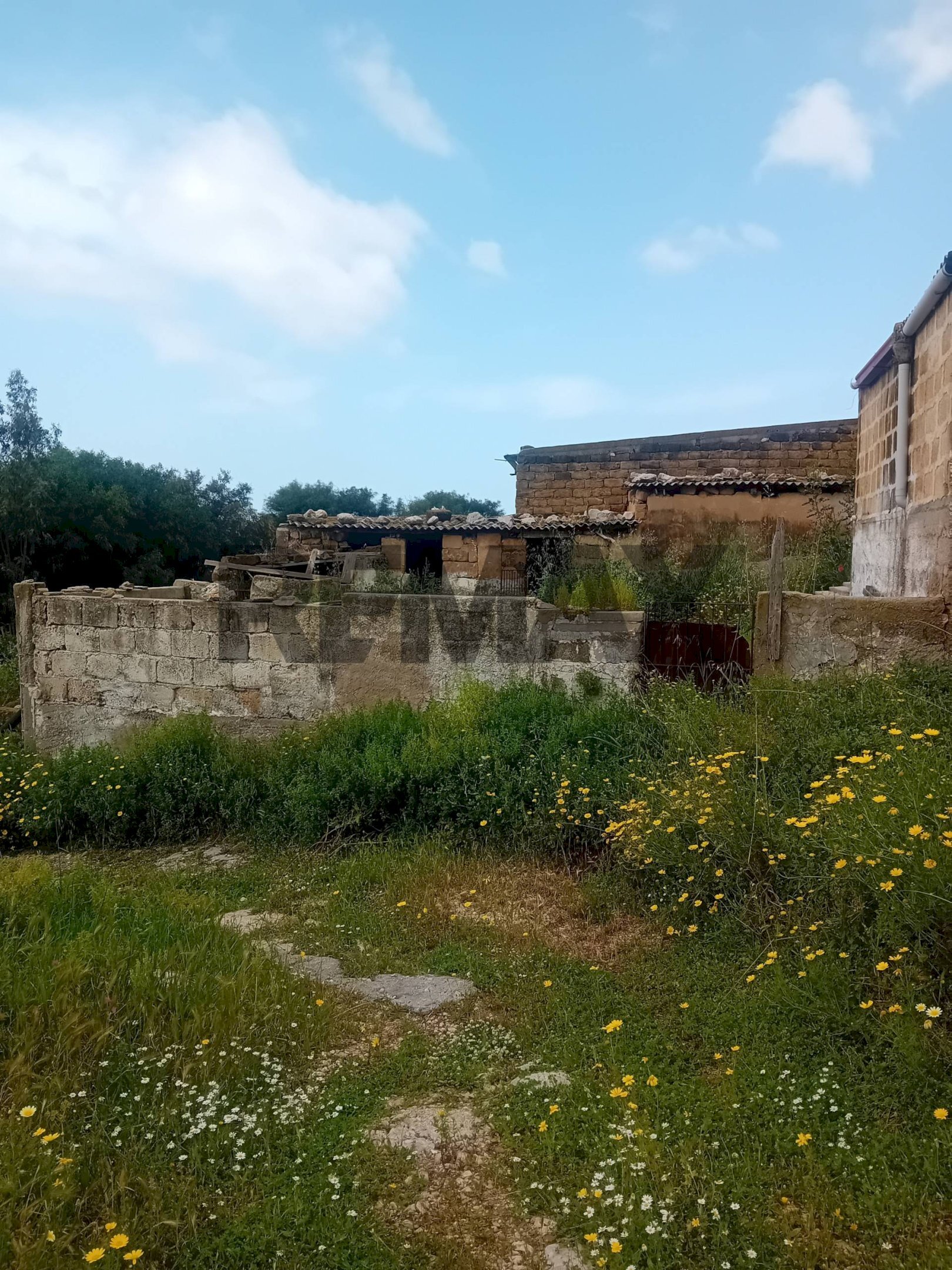 Giardino - Rustic Paternella
4, Terrasini - photo 3