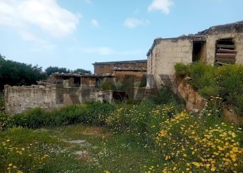 Giardino - Rustic Paternella
 
4, Terrasini - photo 2