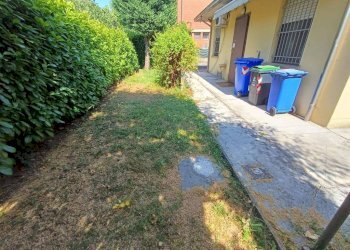 Giardino - Villa via Lucio Saltini, Carpi - foto 5