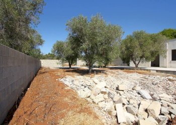 Terreno - Villa SP91, Ugento - photo 18