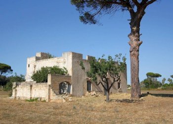 Terreno - Rustic strada Provinciale Gallipoli Parabita Maglie, Alezio - photo 2