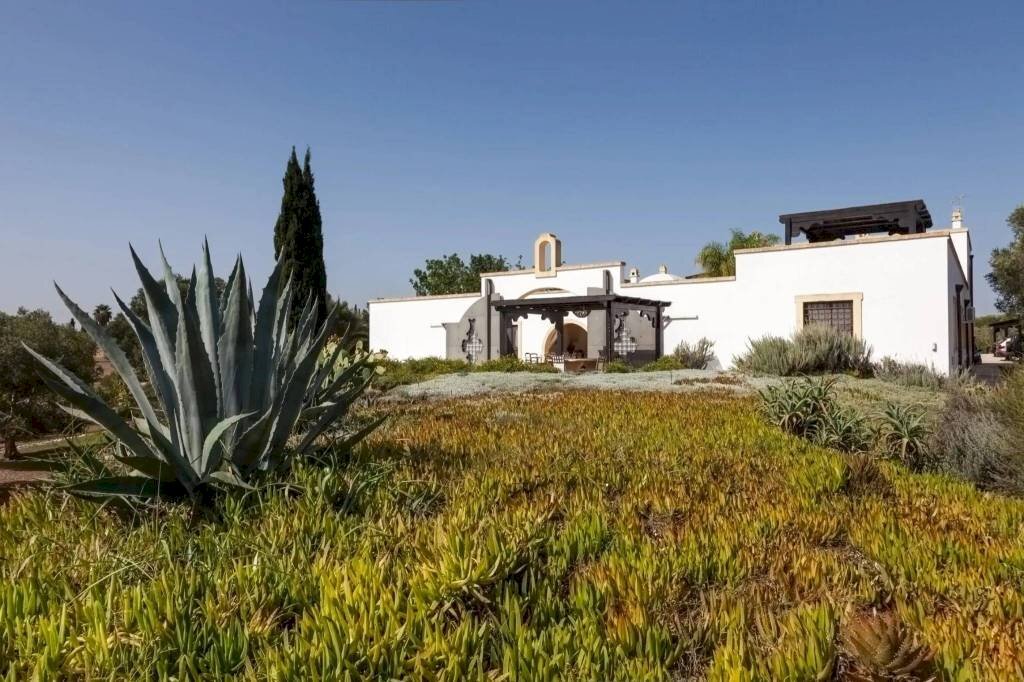 Terreno - Villa contrada Colombo, 21, Carovigno - photo 3