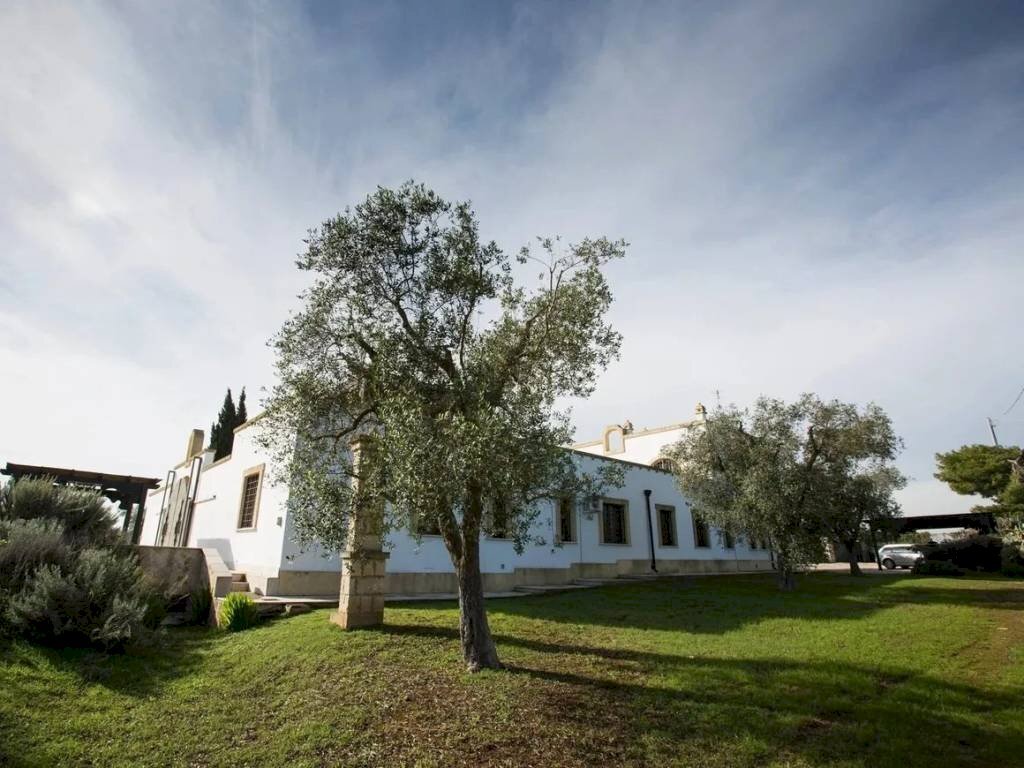 Terreno - Villa contrada Colombo, 21, Carovigno - foto 3