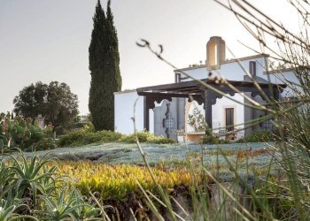 Giardino - Villa contrada Colombo, 21, Carovigno - foto 8