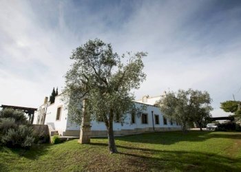 Terreno - Villa contrada Colombo, 21, Carovigno - photo 10
