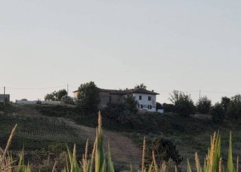 Terreno - Rustic via Bricco Monti, Montegrosso d'Asti - photo 14