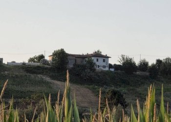 Terreno - Rustic via Bricco Monti, Montegrosso d'Asti - photo 15