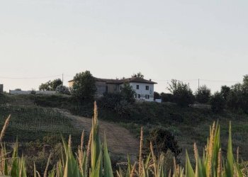 Terreno - Rustic via Bricco Monti, Montegrosso d'Asti - photo 16