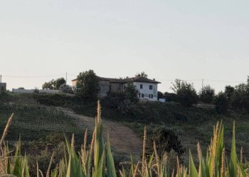 Terreno - Rustic via Bricco Monti, Montegrosso d'Asti - photo 17