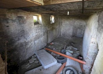 Cantina - Rustic via Bricco Monti, Montegrosso d'Asti - photo 18