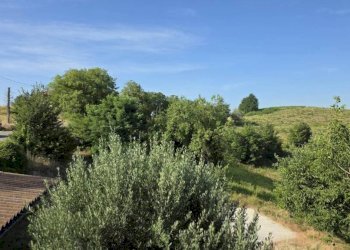 Vista - Rustic via Bricco Monti, Montegrosso d'Asti - photo 42