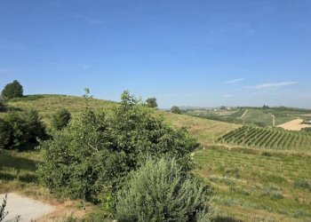 Terreno - Rustic via Bricco Monti, Montegrosso d'Asti - photo 43