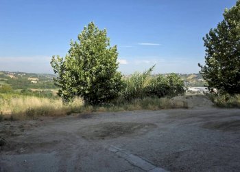 Terreno - Rustic via Bricco Monti, Montegrosso d'Asti - photo 45