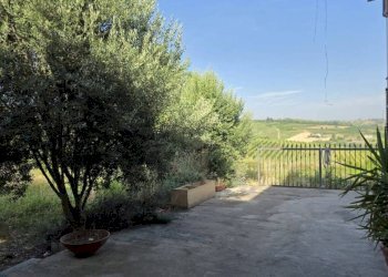 Giardino - Rustic via Bricco Monti, Montegrosso d'Asti - photo 47