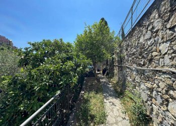 Terreno - Appartamento via Adolfo da Passano, Genova (zona Quarto) - foto 12