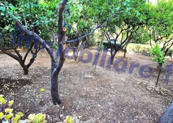 Terreno - Villa via degli Oleandri, Castellammare del Golfo - foto 35