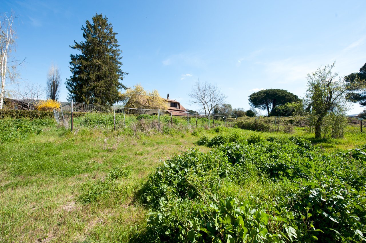 DSC_9593.JPG - Building land Via Guglielmo Quattrucci 382, Grottaferrata - photo 3
