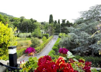 vista giardini - Quadrilocale Via delle Villette, Livorno - foto 23