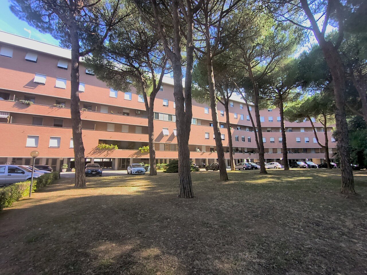 IMG_20260707_171330154 - Appartamento Via Ludovico Antonio Muratori, Livorno - foto 2