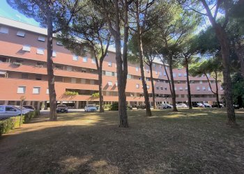 IMG_20260707_171330154 - Appartamento Via Ludovico Antonio Muratori, Livorno - foto 2