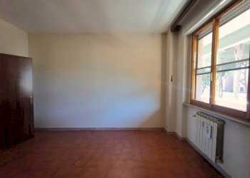 IMG_20260707_164222644 - Appartamento Via Ludovico Antonio Muratori, Livorno - foto 14