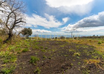 Villa con terreno (8).jpg - Villa SP155 82, Mascali - photo 26