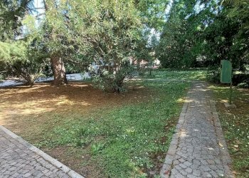 GIARDINO - Villa Arquà Polesine - photo 7