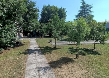 giardino - Villa Arquà Polesine - photo 30