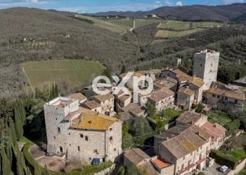 Castle Gaiole in Chianti - photo 12
