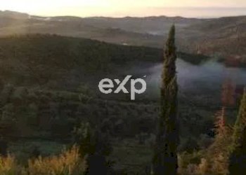 Castle Gaiole in Chianti - photo 44