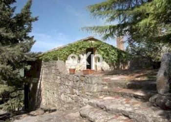 Castle Gaiole in Chianti - photo 56