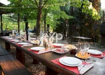 Castle Gaiole in Chianti - photo 63