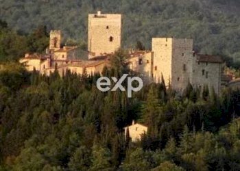 Castle Gaiole in Chianti - photo 68
