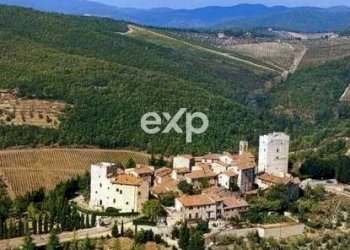 Castle Gaiole in Chianti - photo 69