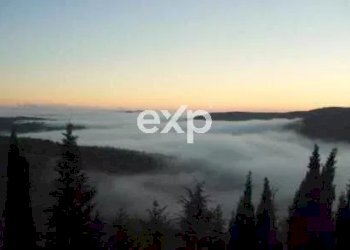 Castle Gaiole in Chianti - photo 70