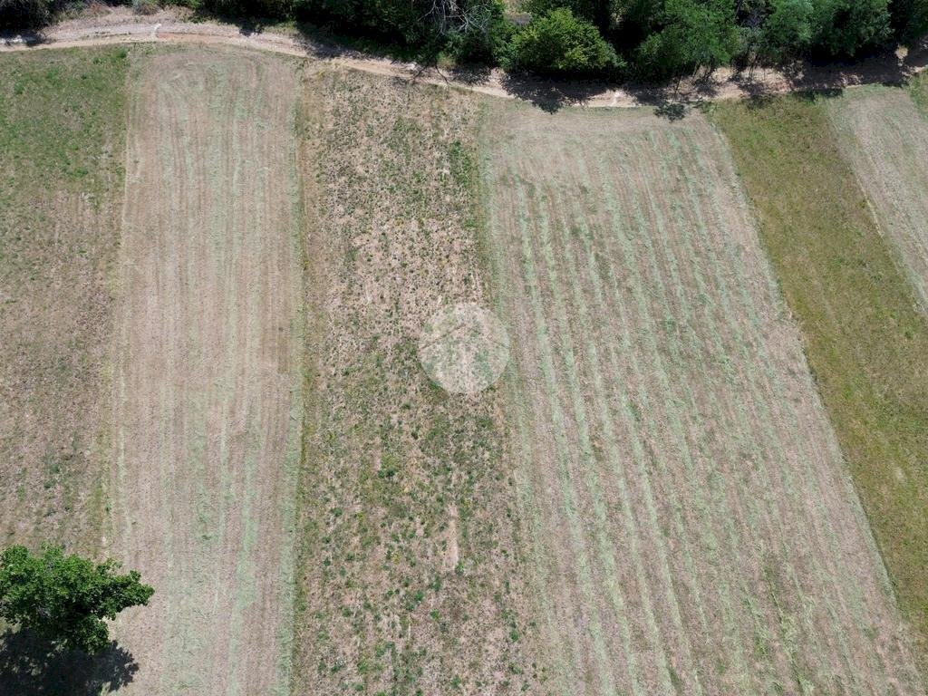Terreno agricolo Seminativo Via Ritano, Val della Torre - foto 2