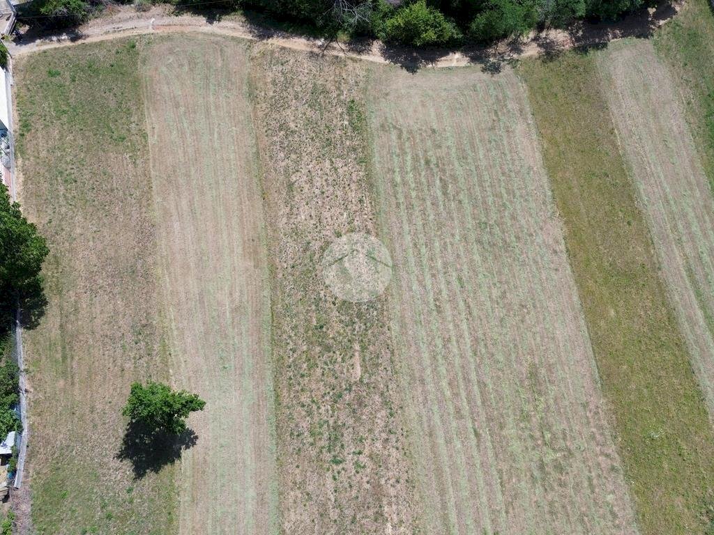 Terreno agricolo Seminativo Via Ritano, Val della Torre - foto 3