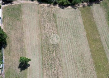 Terreno agricolo Seminativo Via Ritano, Val della Torre - foto 3