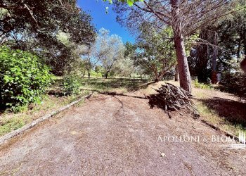 Single Family Villa Strada di Cignano, 54, Castelnuovo Berardenga - photo 39