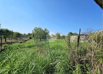 Casa indipendente Via Caduti per la Libertà, Torrazza Piemonte - foto 7