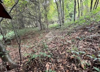 Rustico Via Pravallino, Bagnolo Piemonte - foto 7