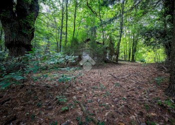 Rustico Via Giala, Barge - foto 23